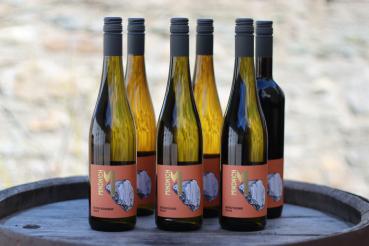 Einmal quer durch den Weinberg